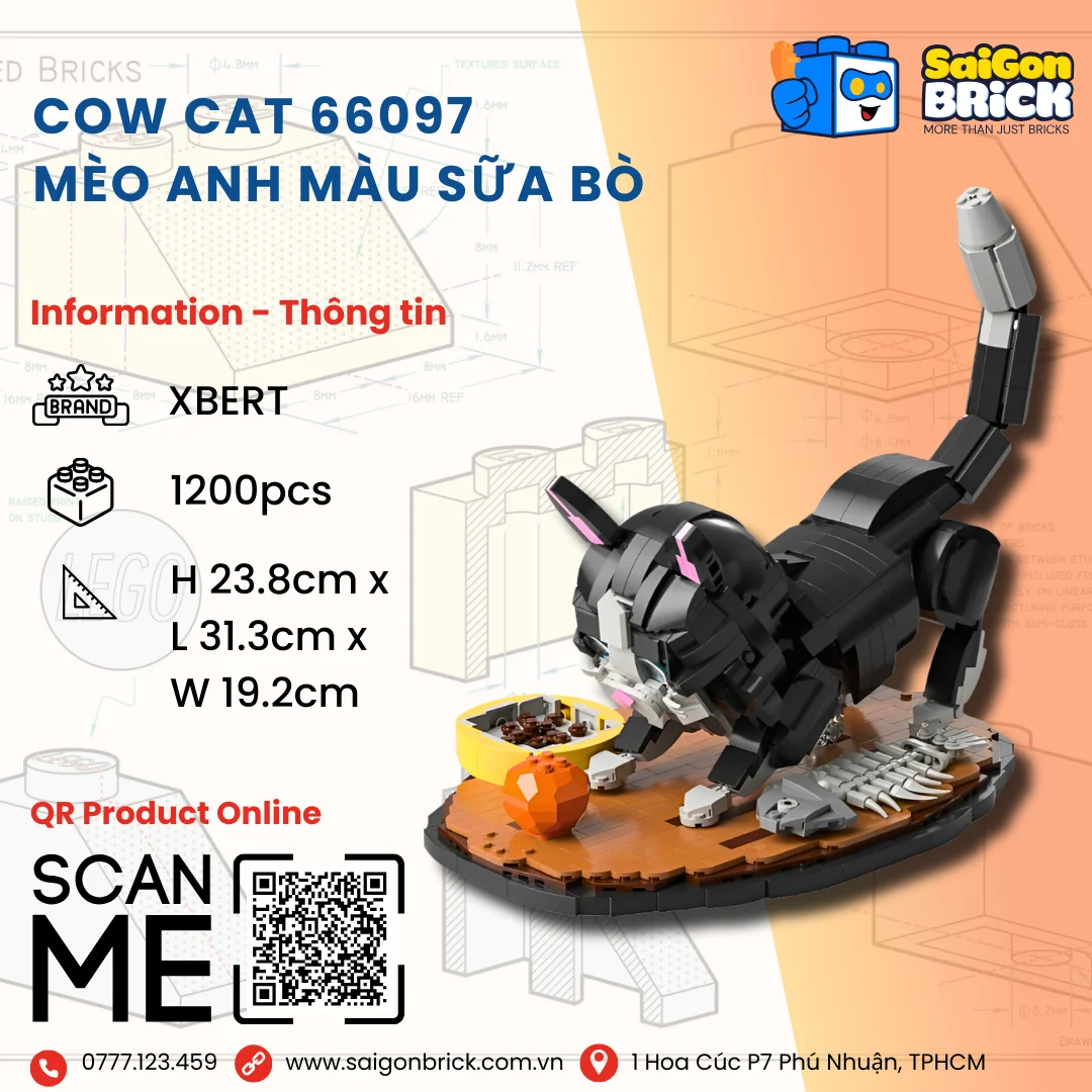 66097